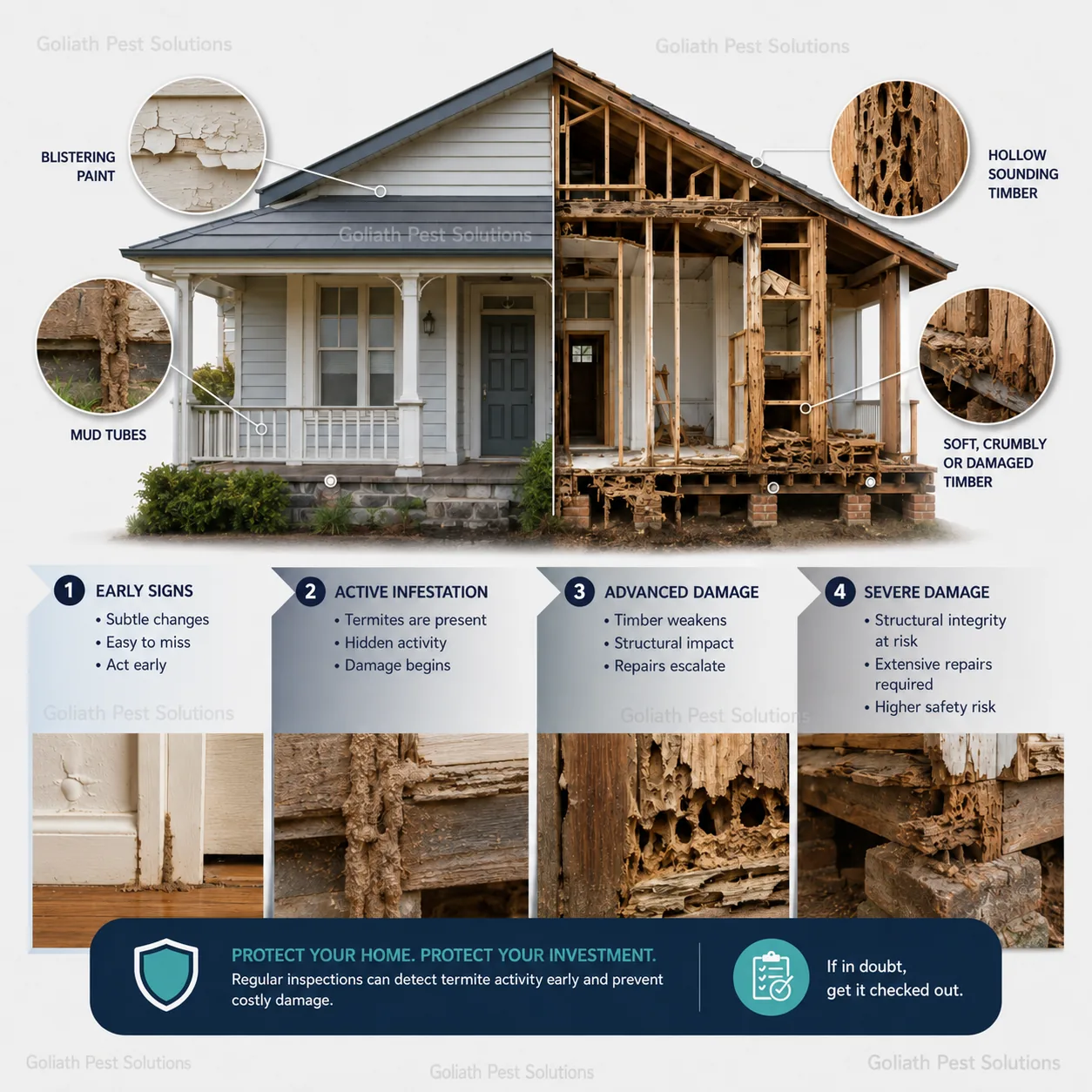 Goliath Pest Solutions infographic showing common termite warning signs and progressive damage