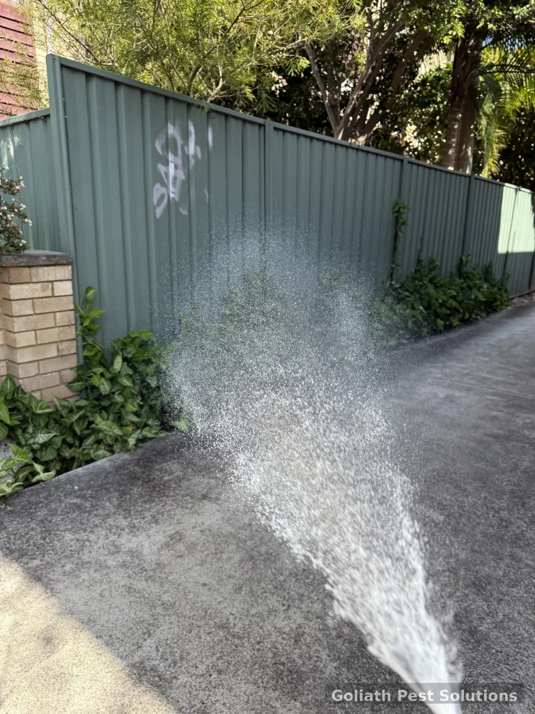 External treatment being applied along a paved perimeter beside the building.