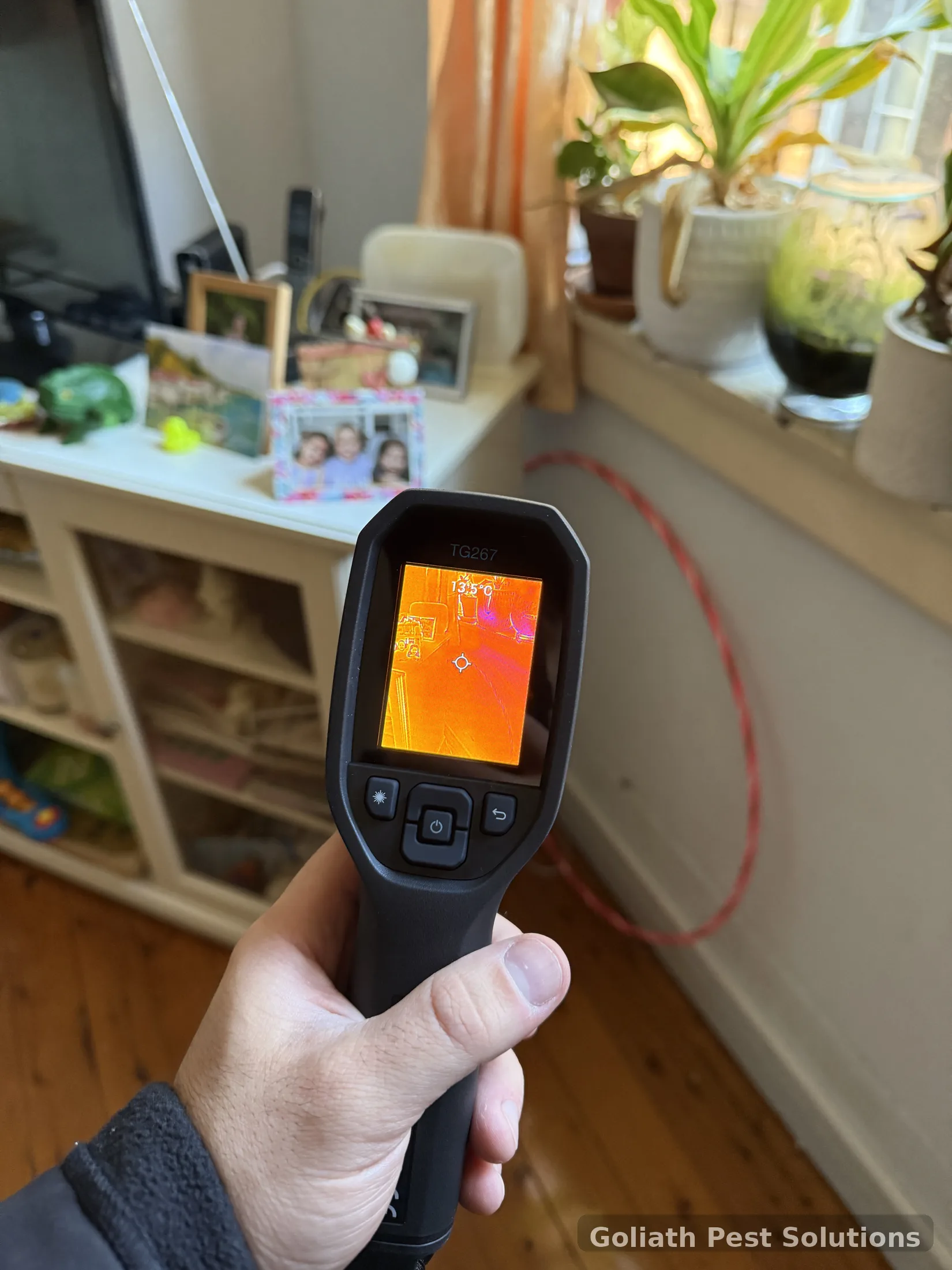 Thermal imaging used during a termite inspection