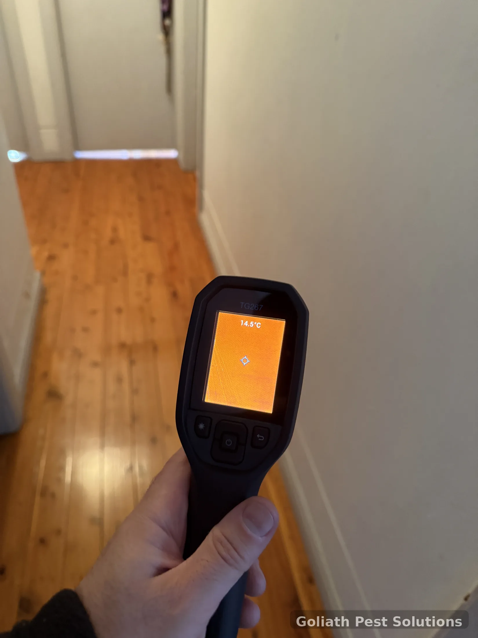 Thermal imaging during a termite assessment