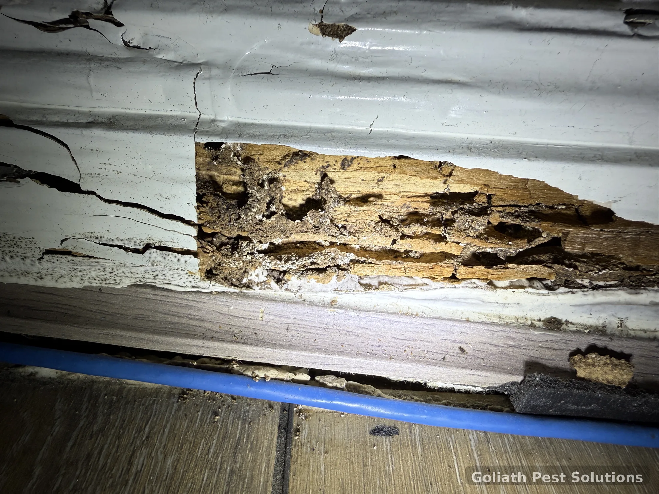 Exposed termite damaged timber at a property