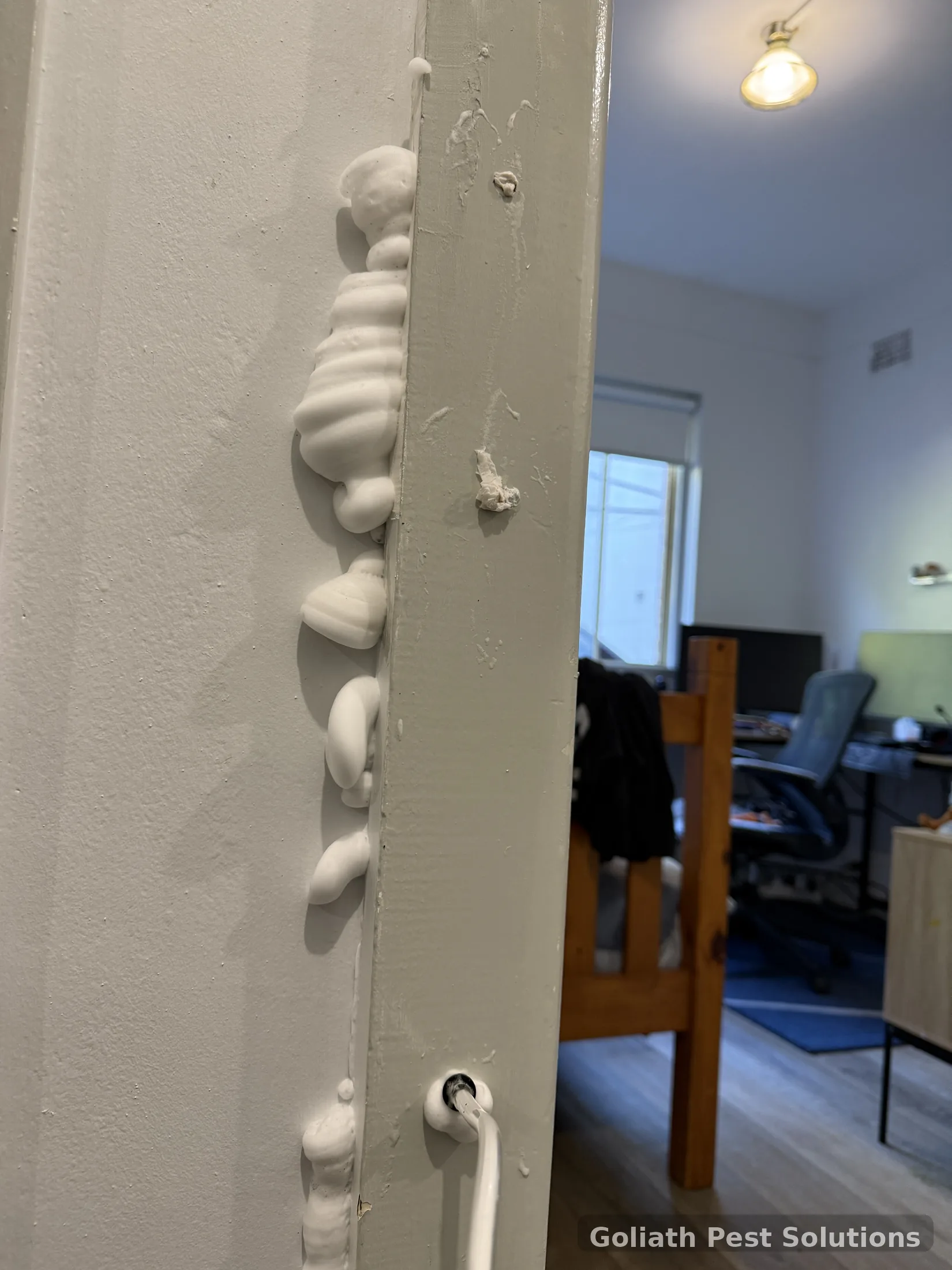 Treatment access points documented during Goliath termite work