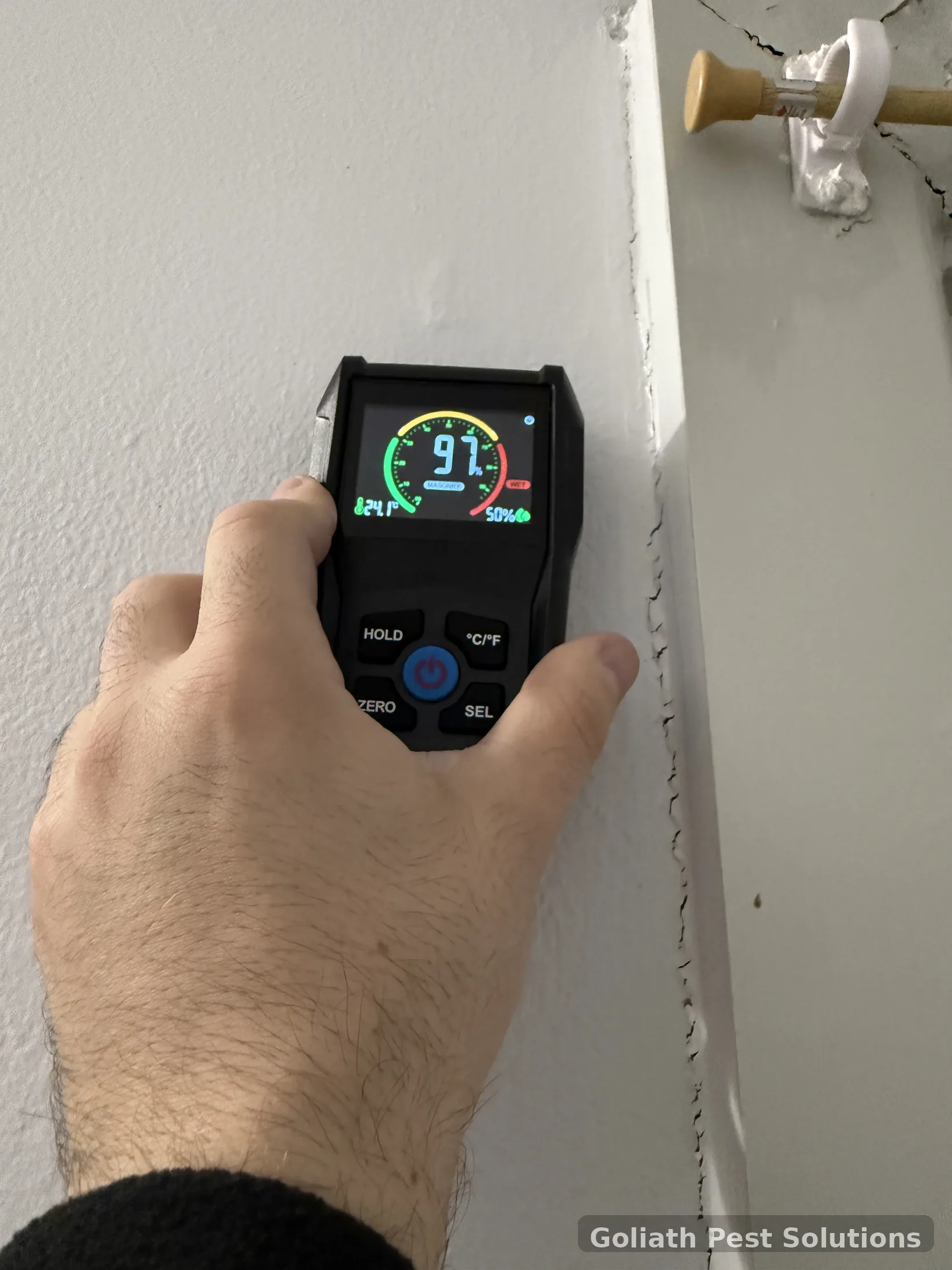 Moisture diagnostic reading during a Goliath termite inspection in Sydney