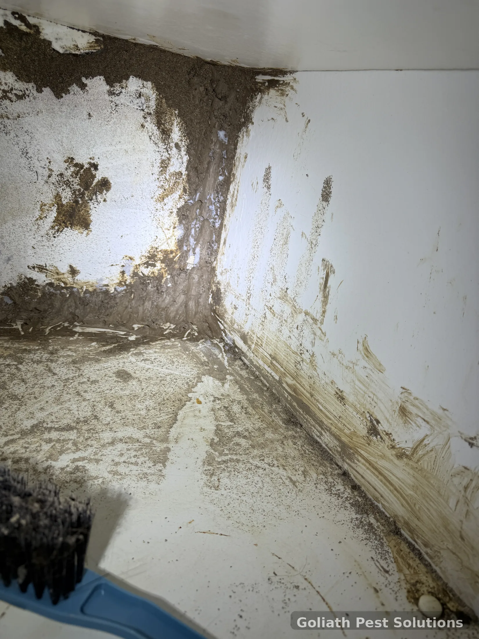 Moisture and deterioration visible in an inspection area