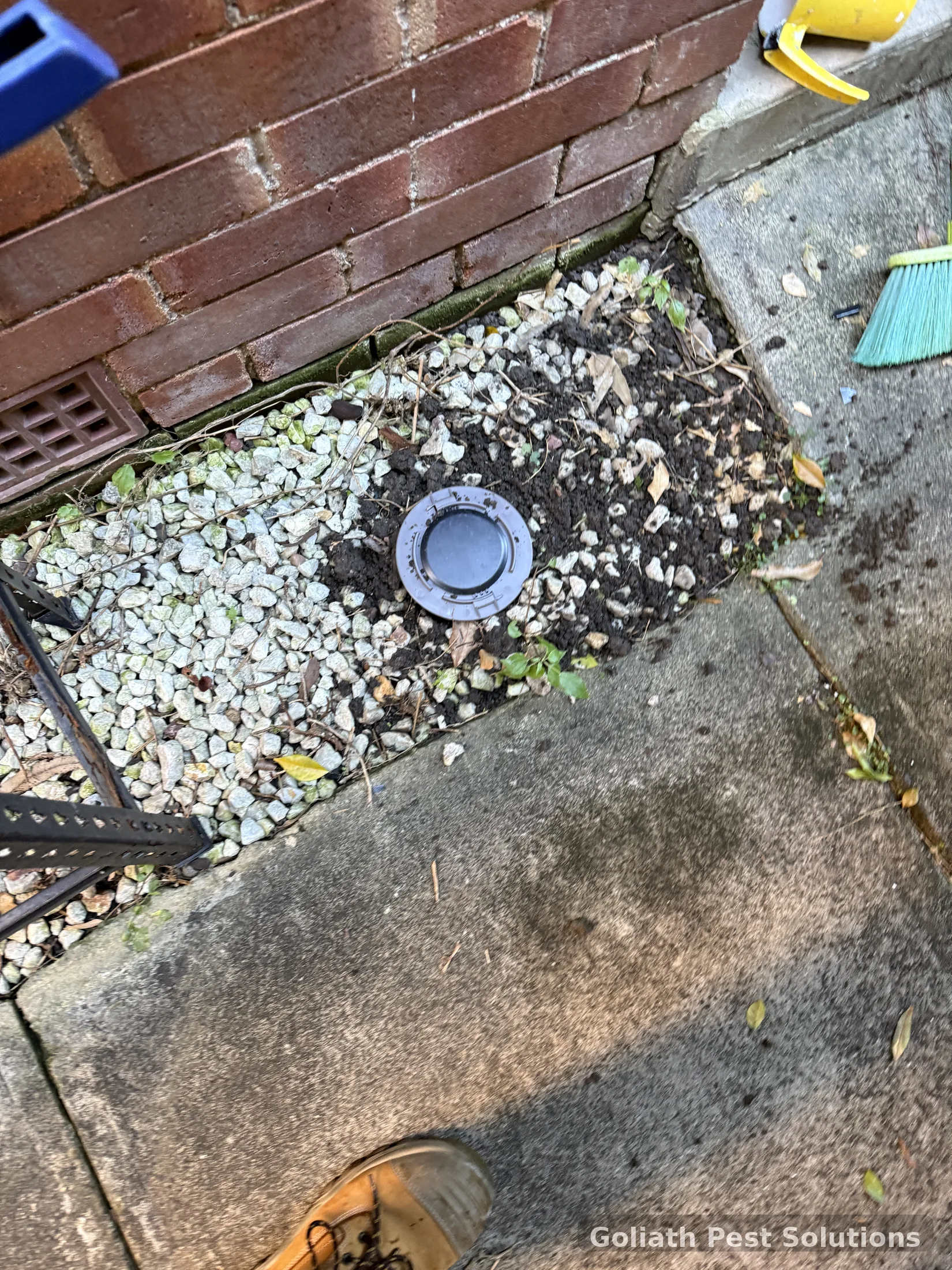 Termite monitoring station positioned beside an existing property