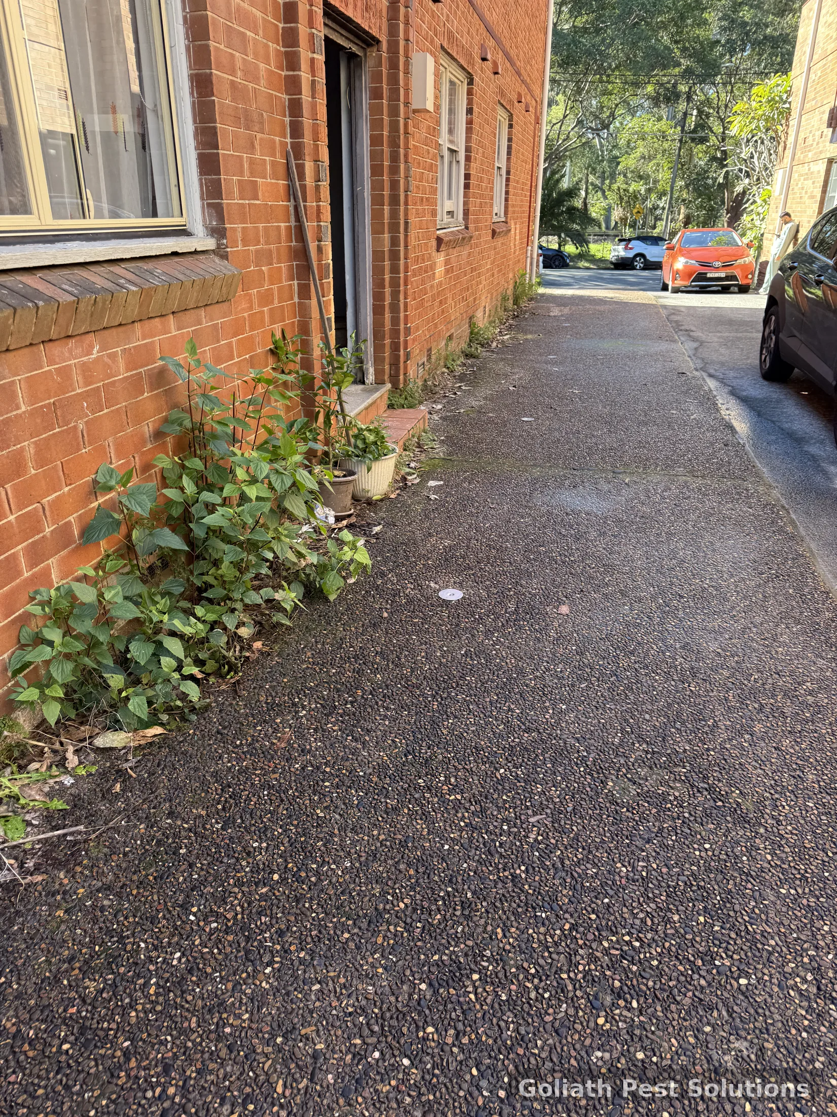 Existing property perimeter showing previous termite treatment points
