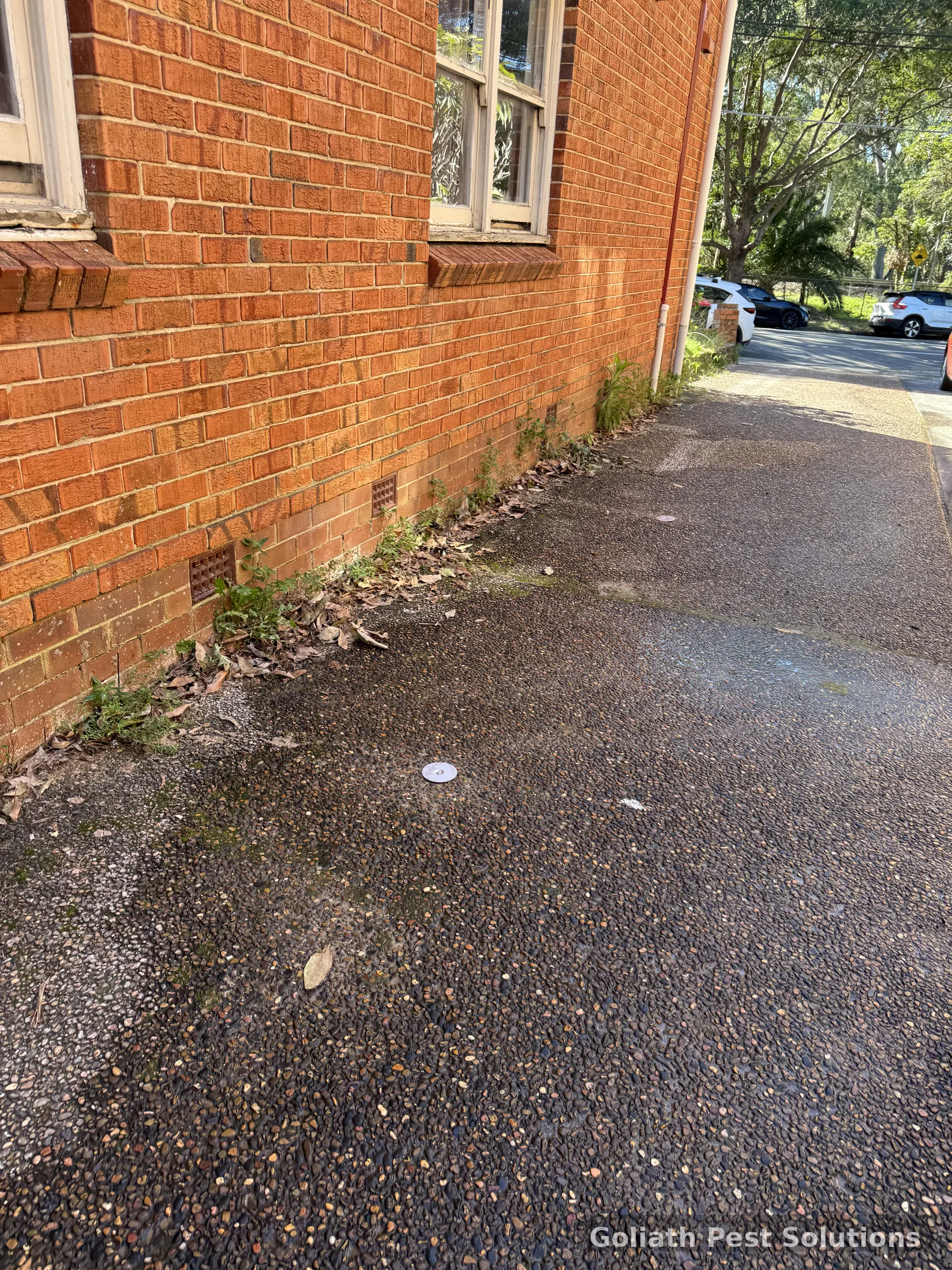 Exterior treatment points beside a brick building where termite-management history may need review