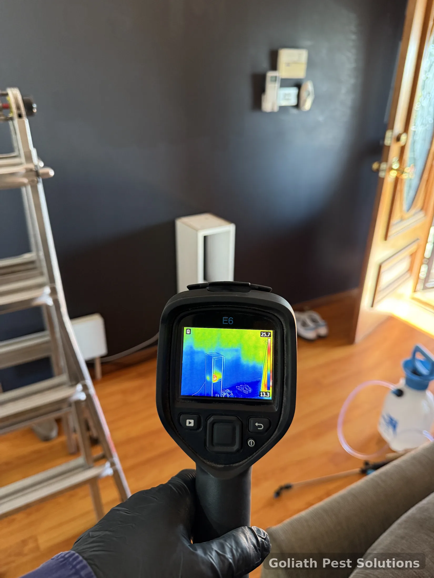 Thermal imaging used as part of a termite inspection before a property purchase
