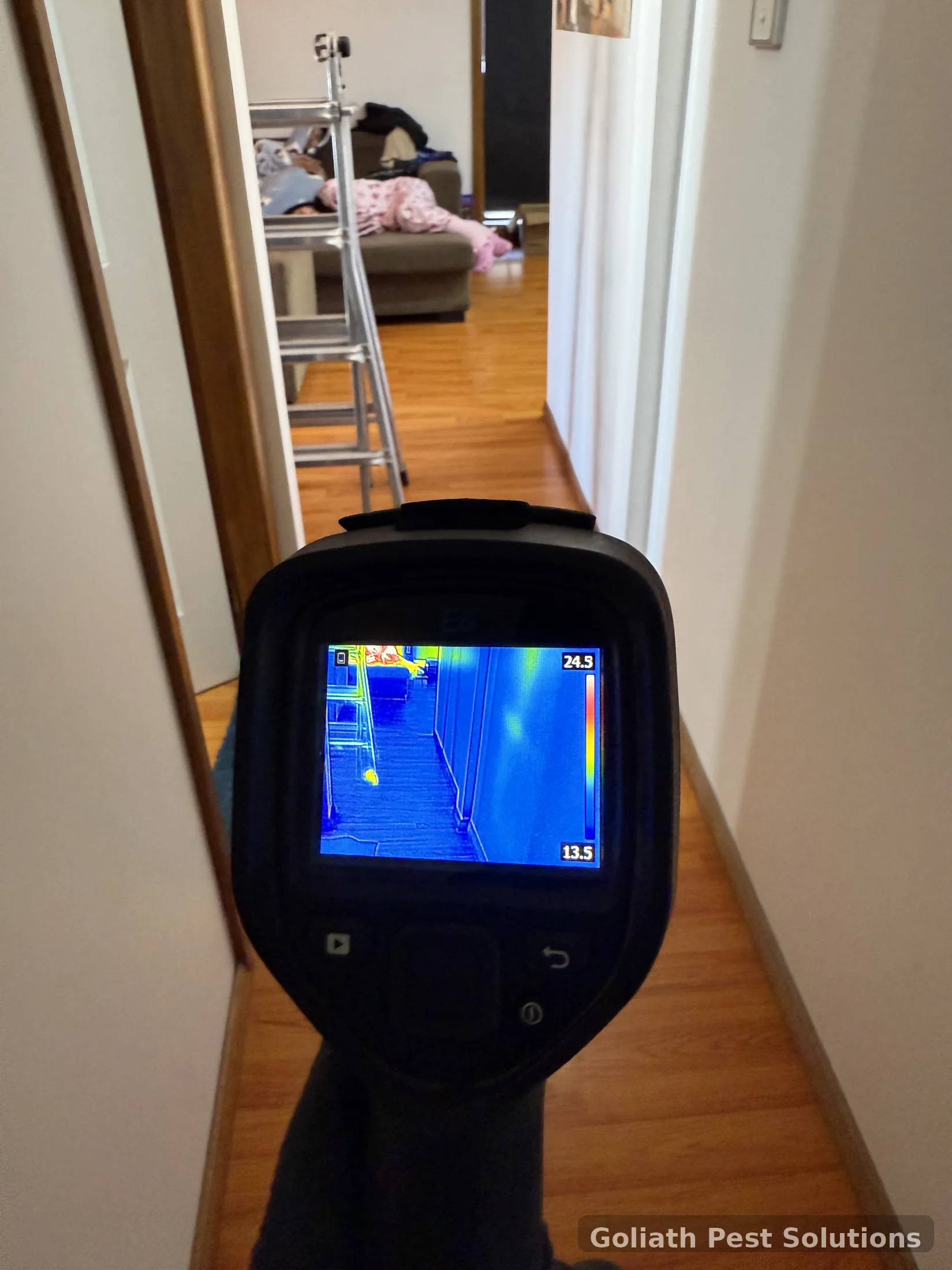 Thermal inspection of an internal wall at a Sydney home