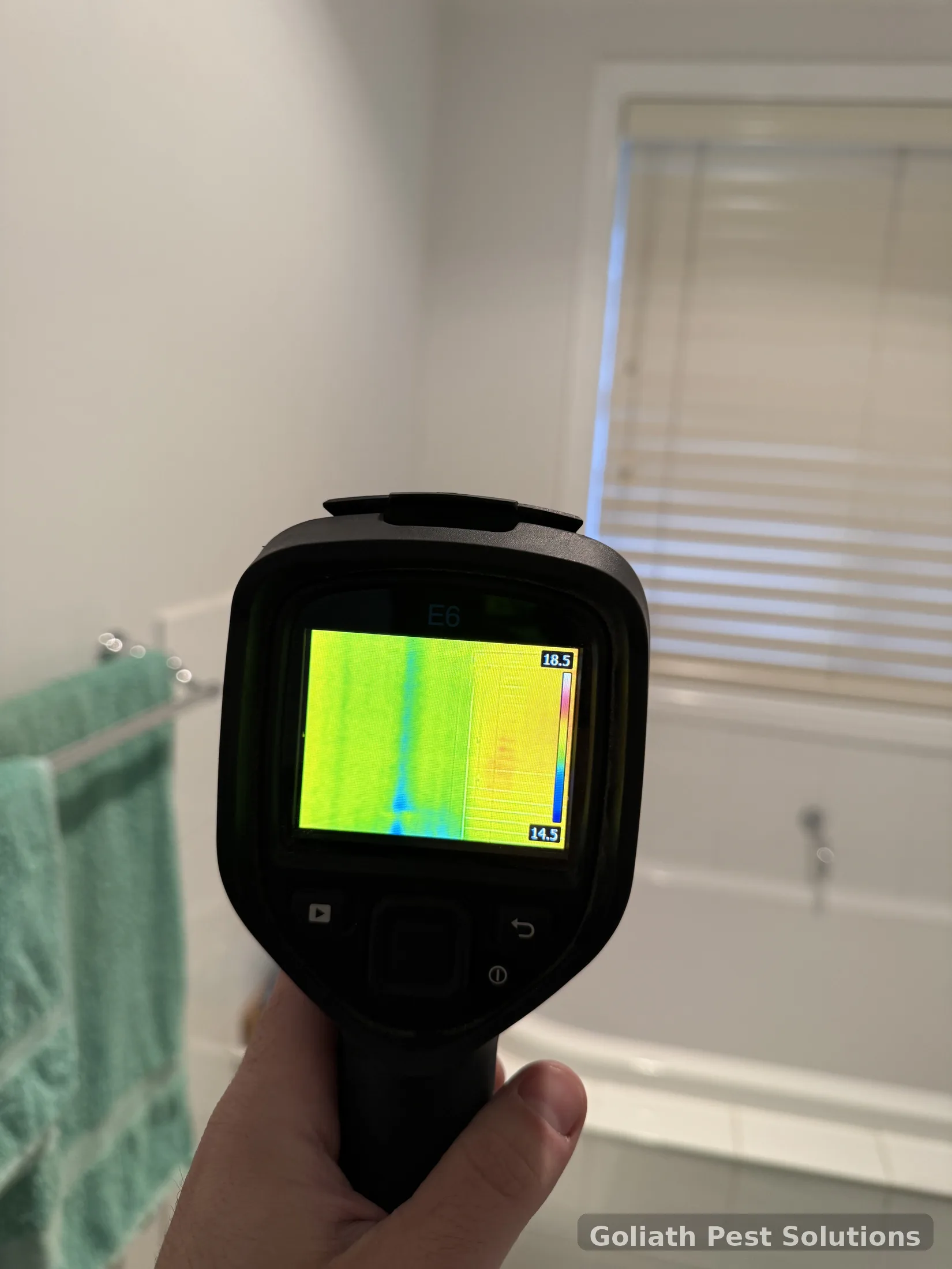 Thermal diagnostic check in a residential property