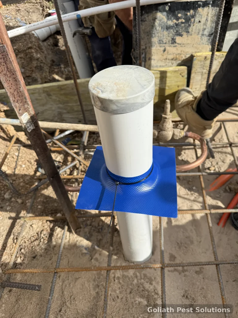 A protected service penetration photographed during pre-construction termite-management work.