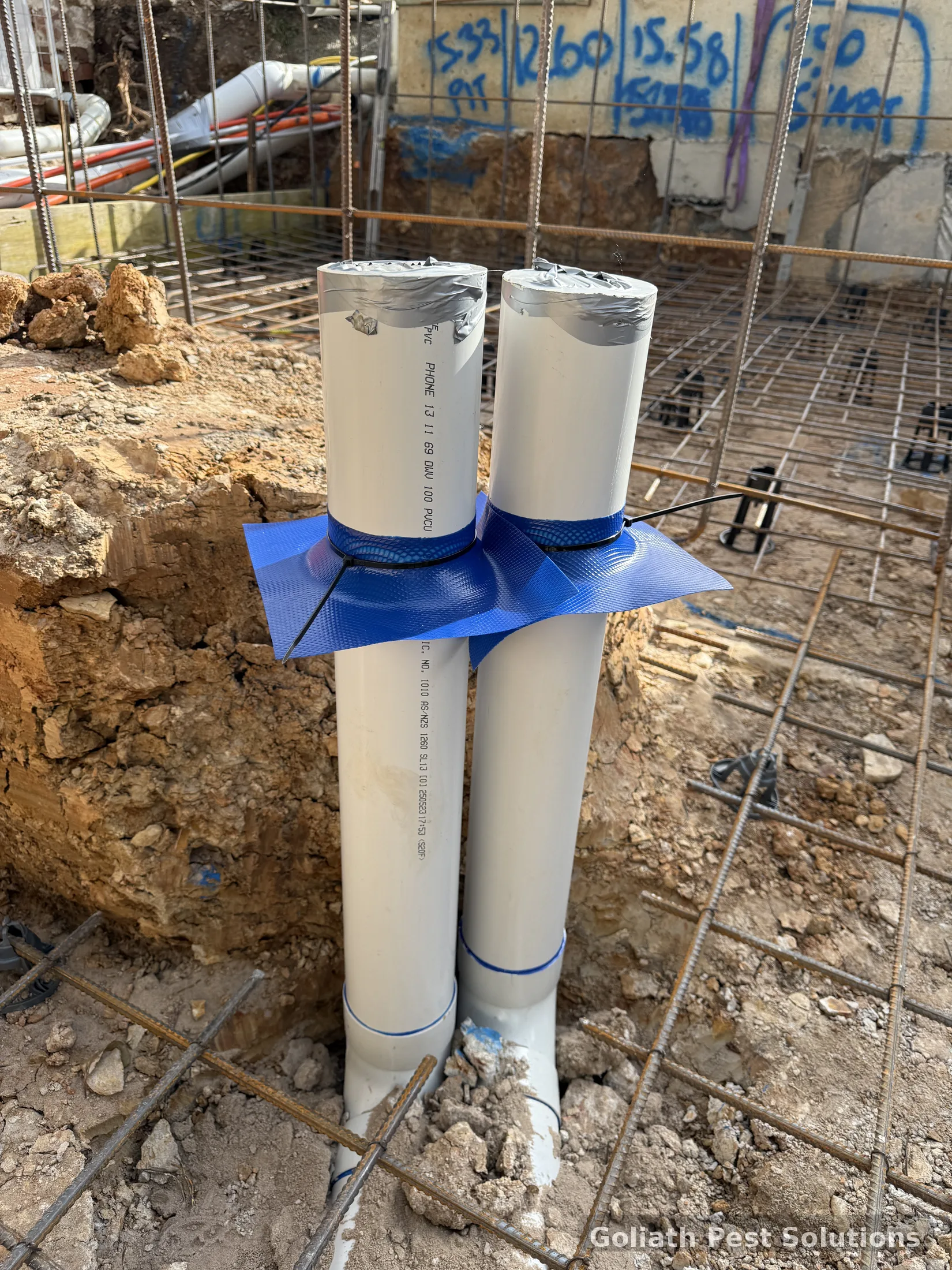Pre-construction termite management detailing around building service penetrations on a Sydney project