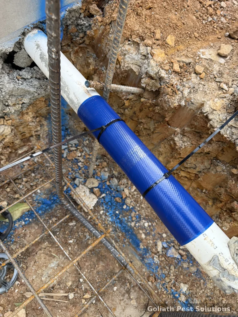Close view of termite-management detailing around a service penetration before the slab is completed.