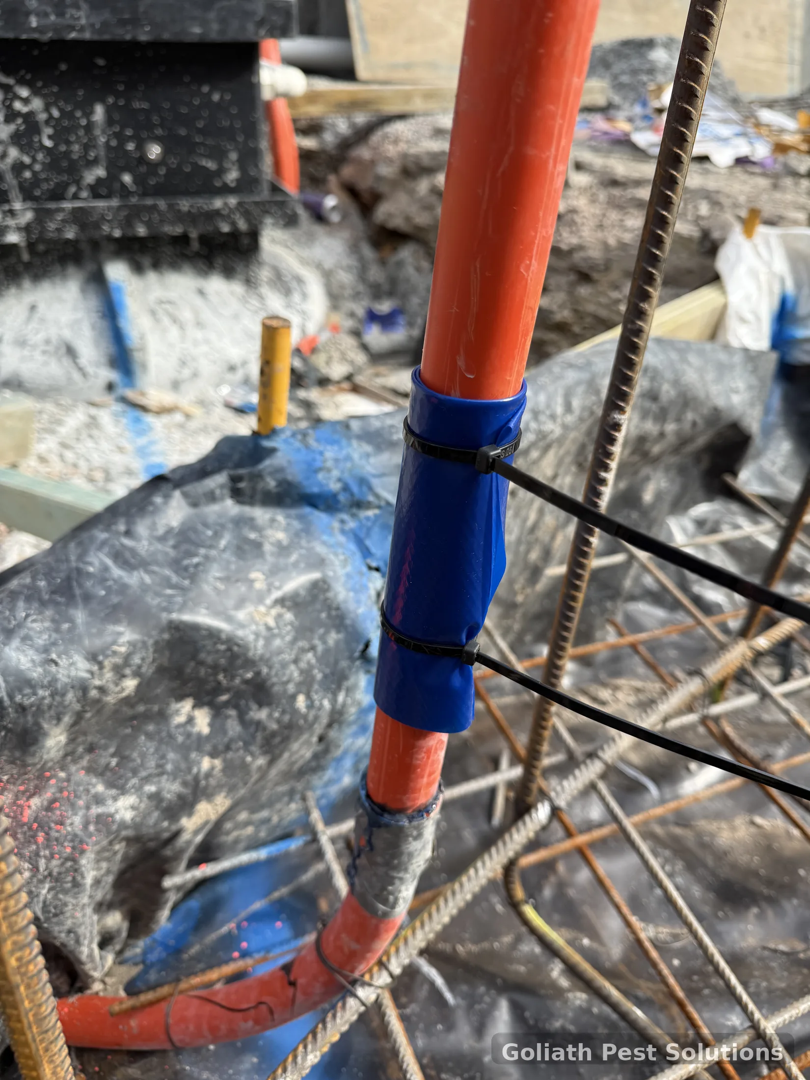 Construction service penetration prepared during termite management work