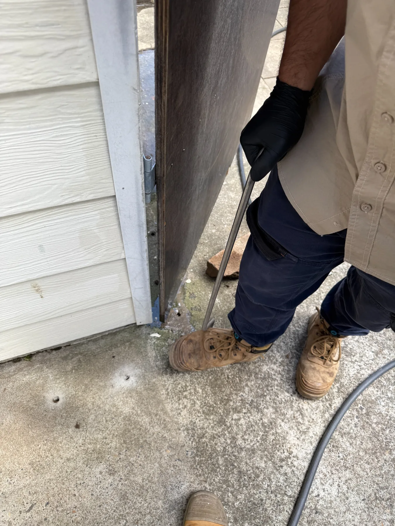 Goliath Pest Solutions termite inspection and treatment work for Carlingford properties