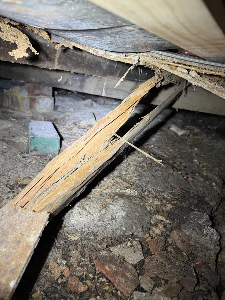 Exposed subfloor timbers showing deterioration in an accessible inspection area.