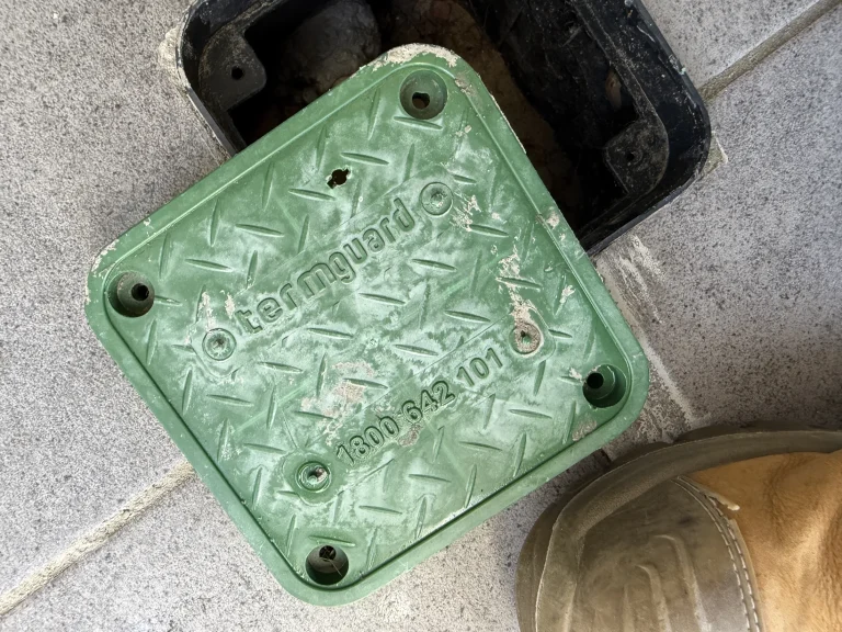 An in-ground termite monitoring station photographed during field servicing.