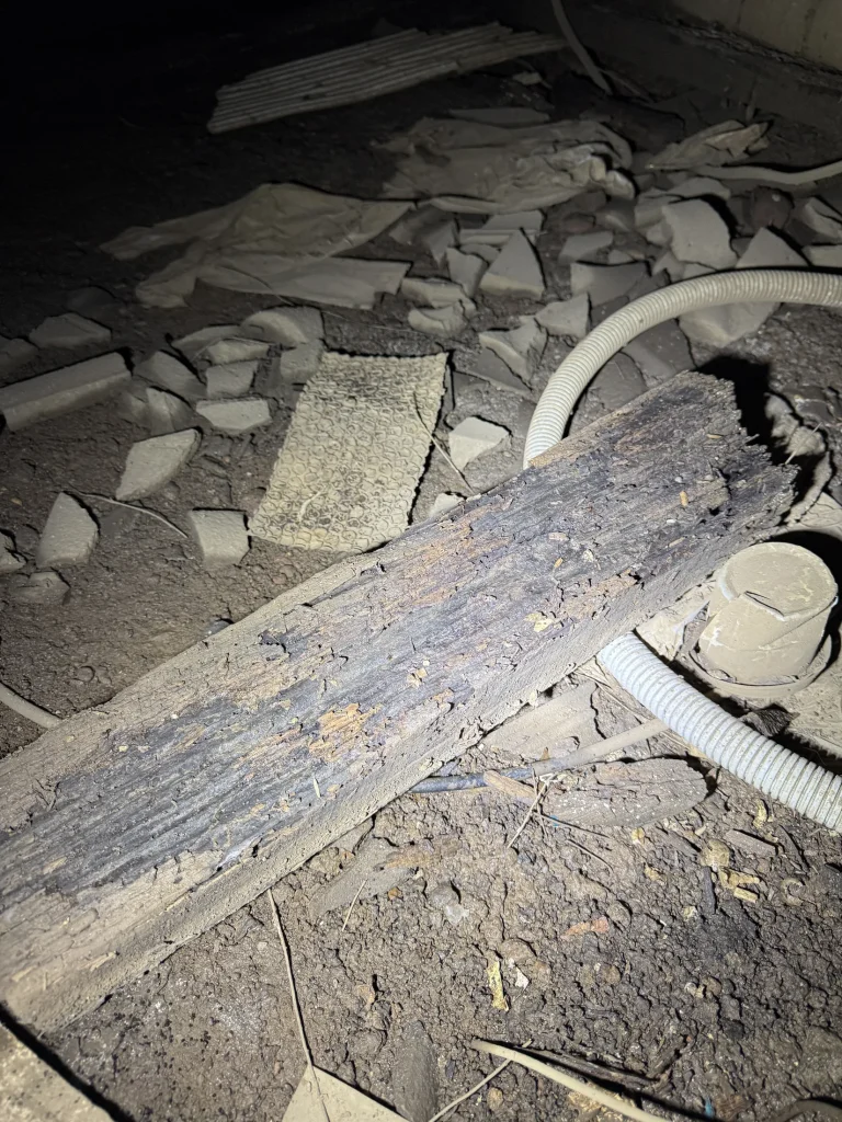 A deteriorated timber member in a subfloor area photographed during inspection.