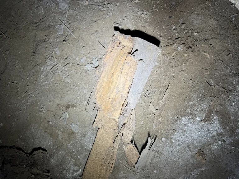 Damaged timber exposed within a subfloor or concealed building area during investigation.