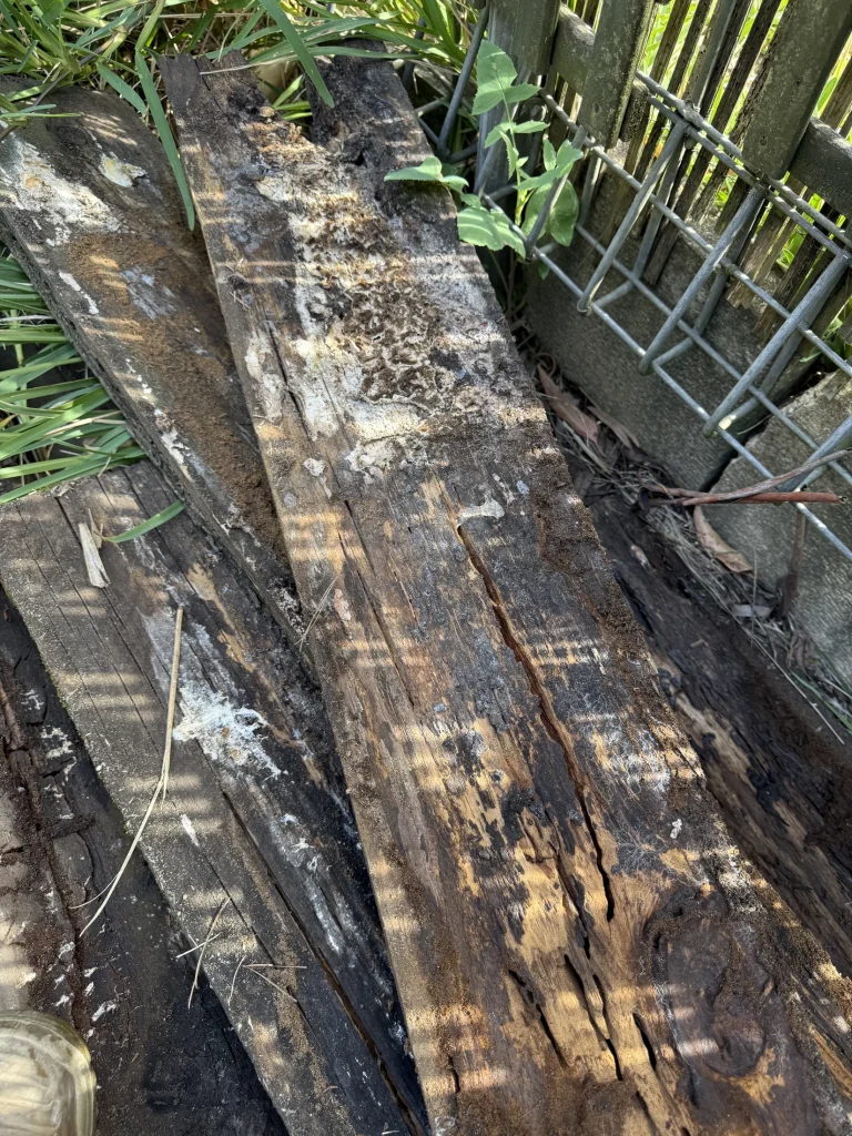 Severely deteriorated external timber exposed during field inspection.