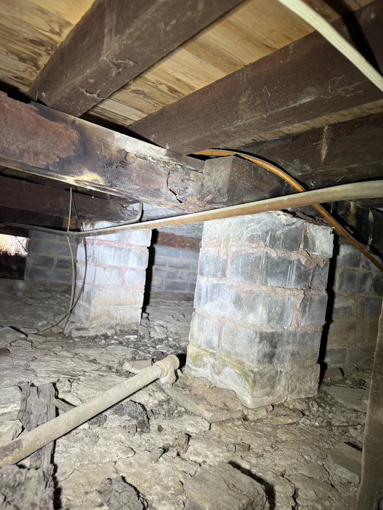 An accessible subfloor area showing masonry piers and structural timbers during inspection.