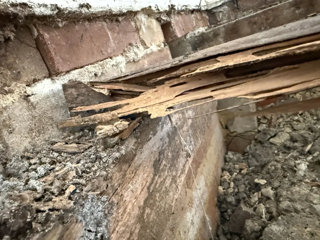 Termite management work at a residential property in Artarmon