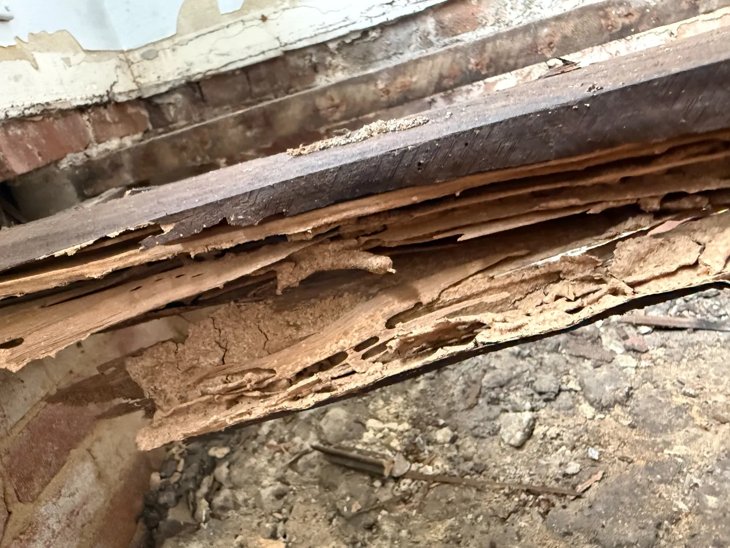 Severely hollowed and fragmented timber uncovered during an Artarmon termite inspection