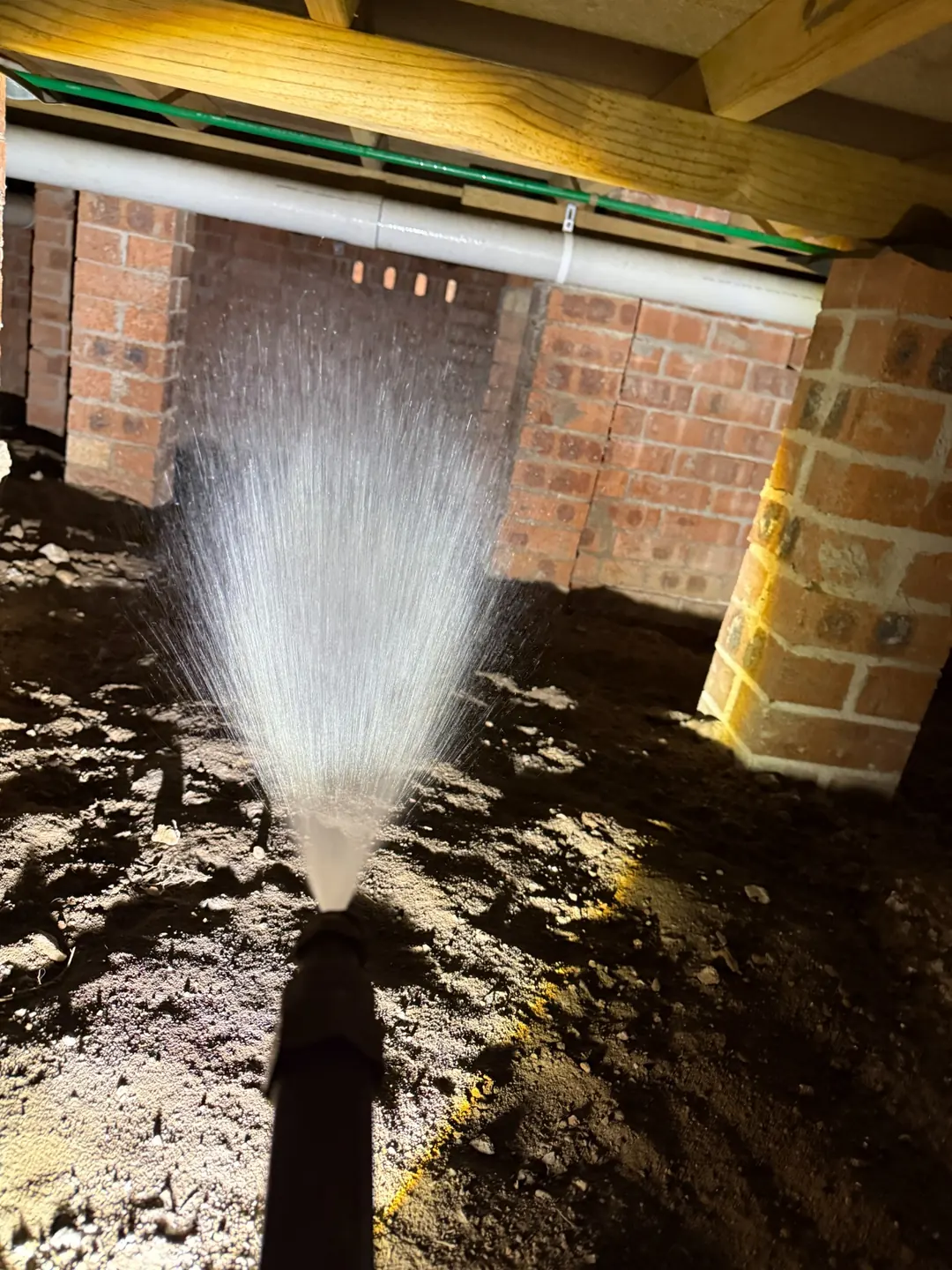 Bifenthrin application in the subfloor of the Brooklyn NSW home