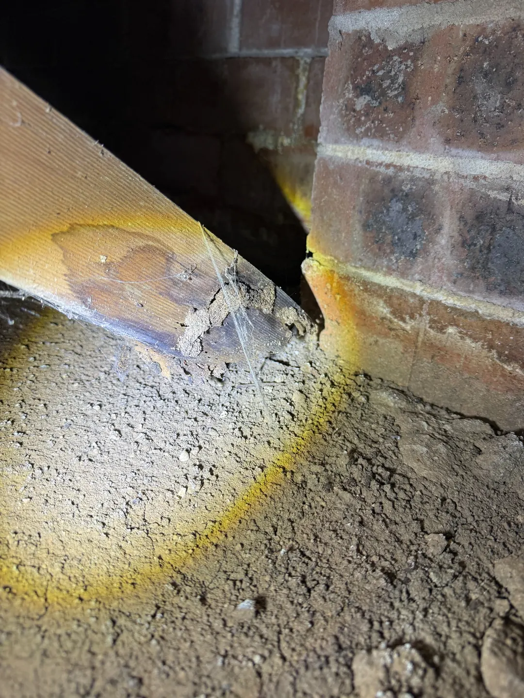 Timber and mud-like deposits near a brick pier in the Brooklyn NSW property subfloor