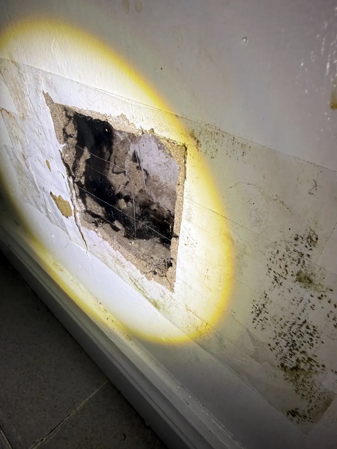 Opened wall cavity with damage identified during Brooklyn NSW inspection