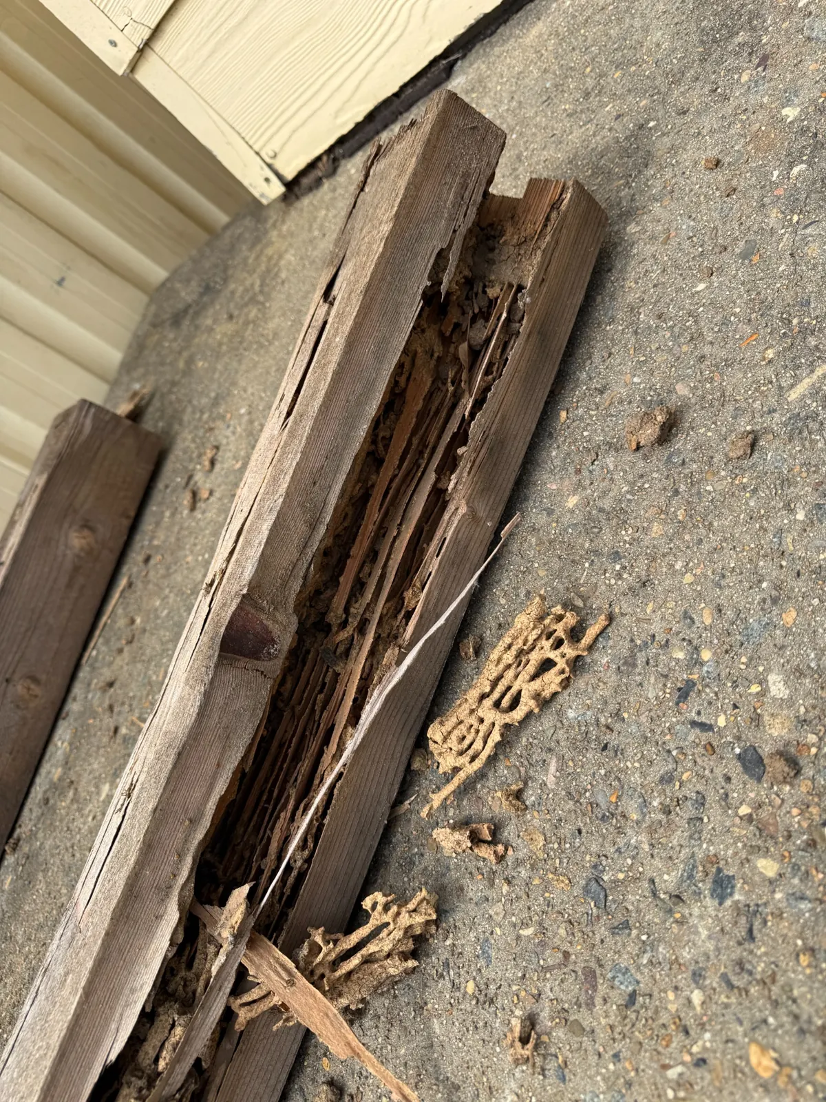 Old termite damage visible along the lower edge of a Dean Park garage panel