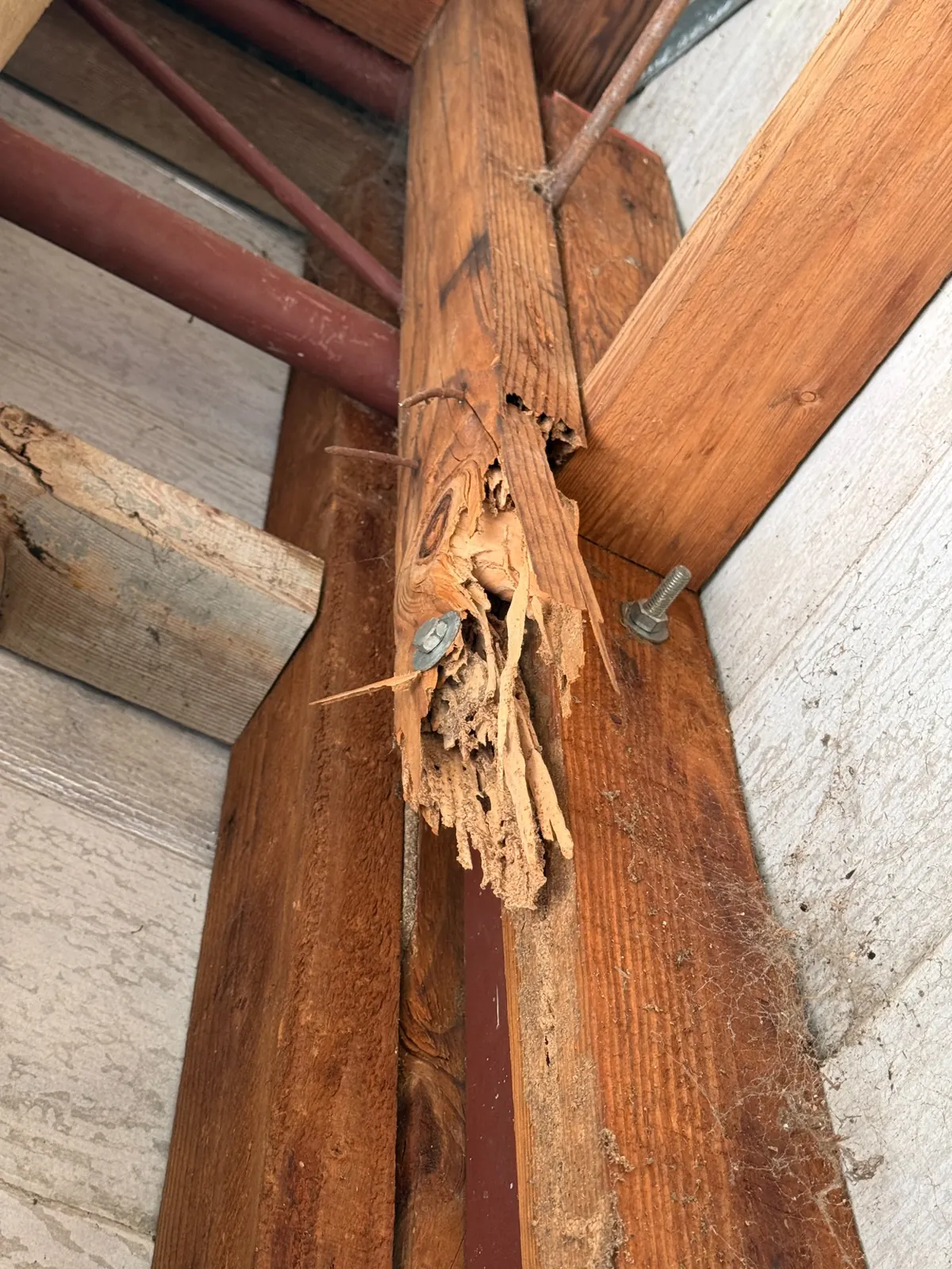 Splintered garage framing with historic termite damage at Dean Park
