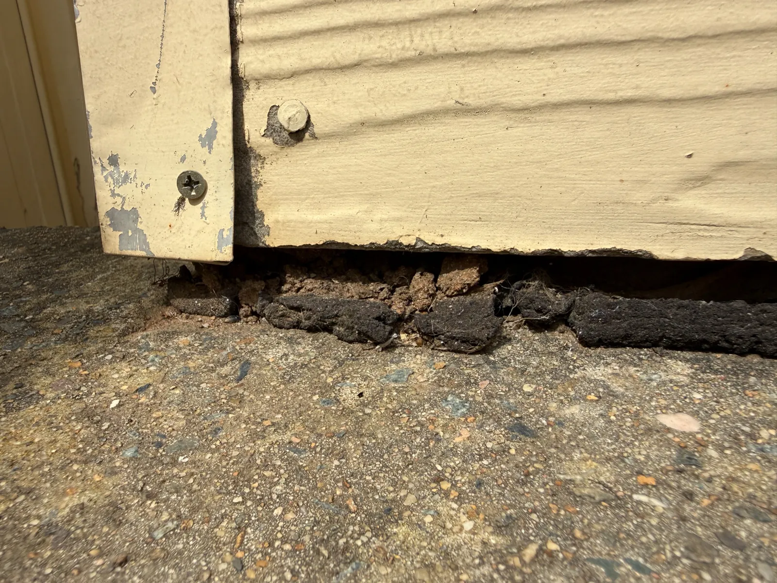Two dismantled garage timbers displaying old termite damage in Dean Park