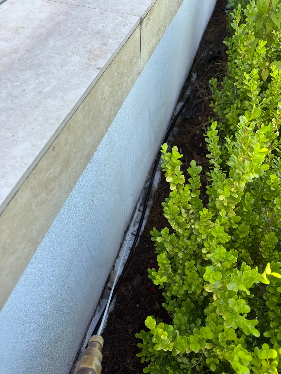 Chemical soil treatment near rainwater downpipe and brick wall in Epping