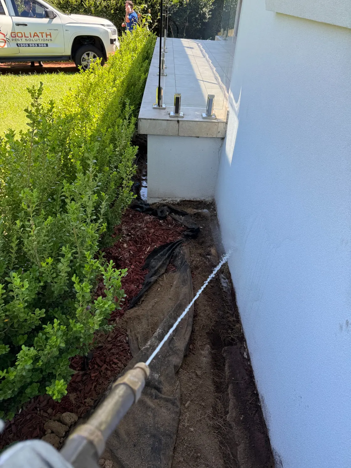 Termidor HE soil application adjacent to external brick wall beneath raised area in Epping
