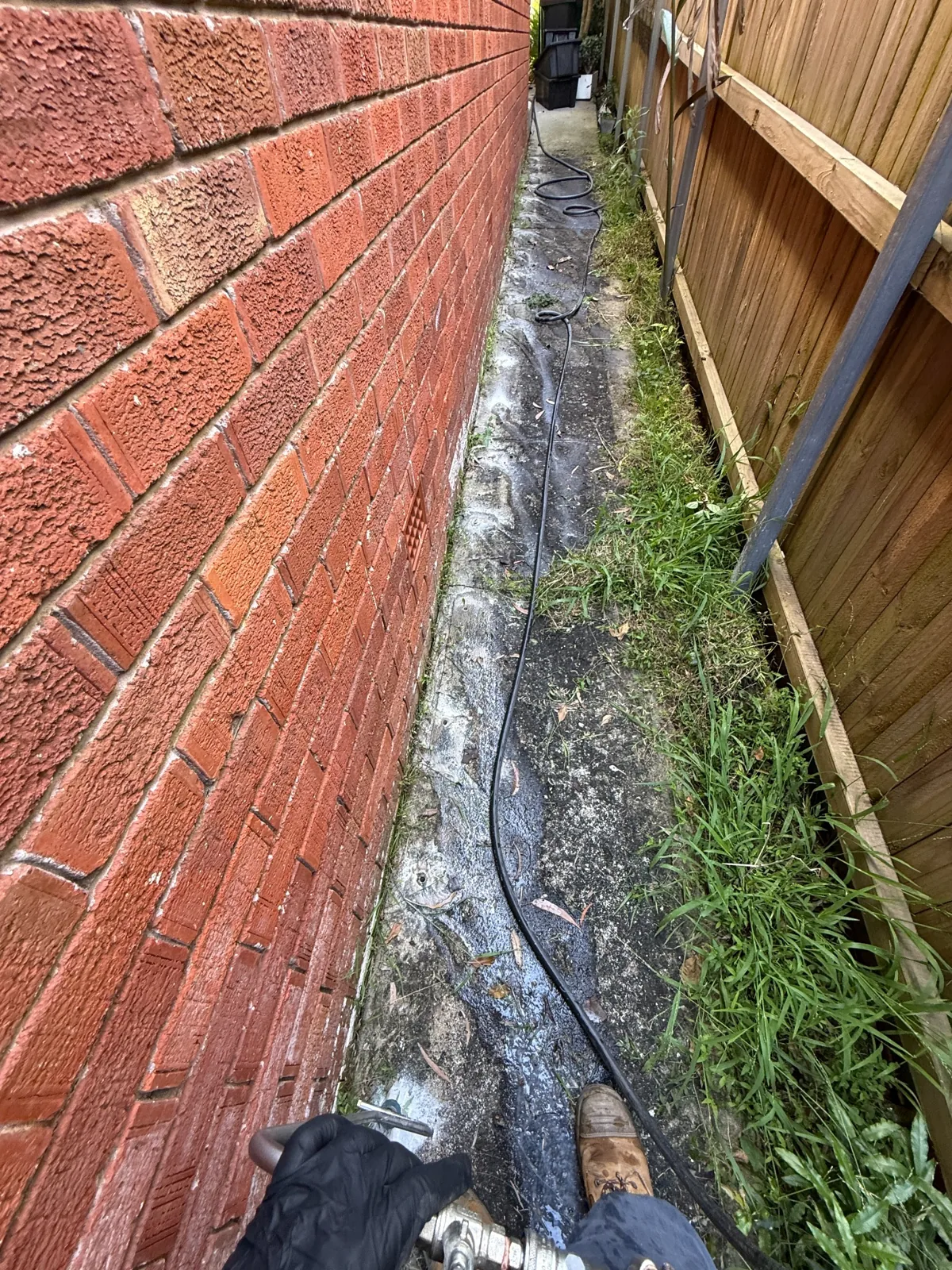 Narrow concrete access path alongside a brick home during Killara termite treatment