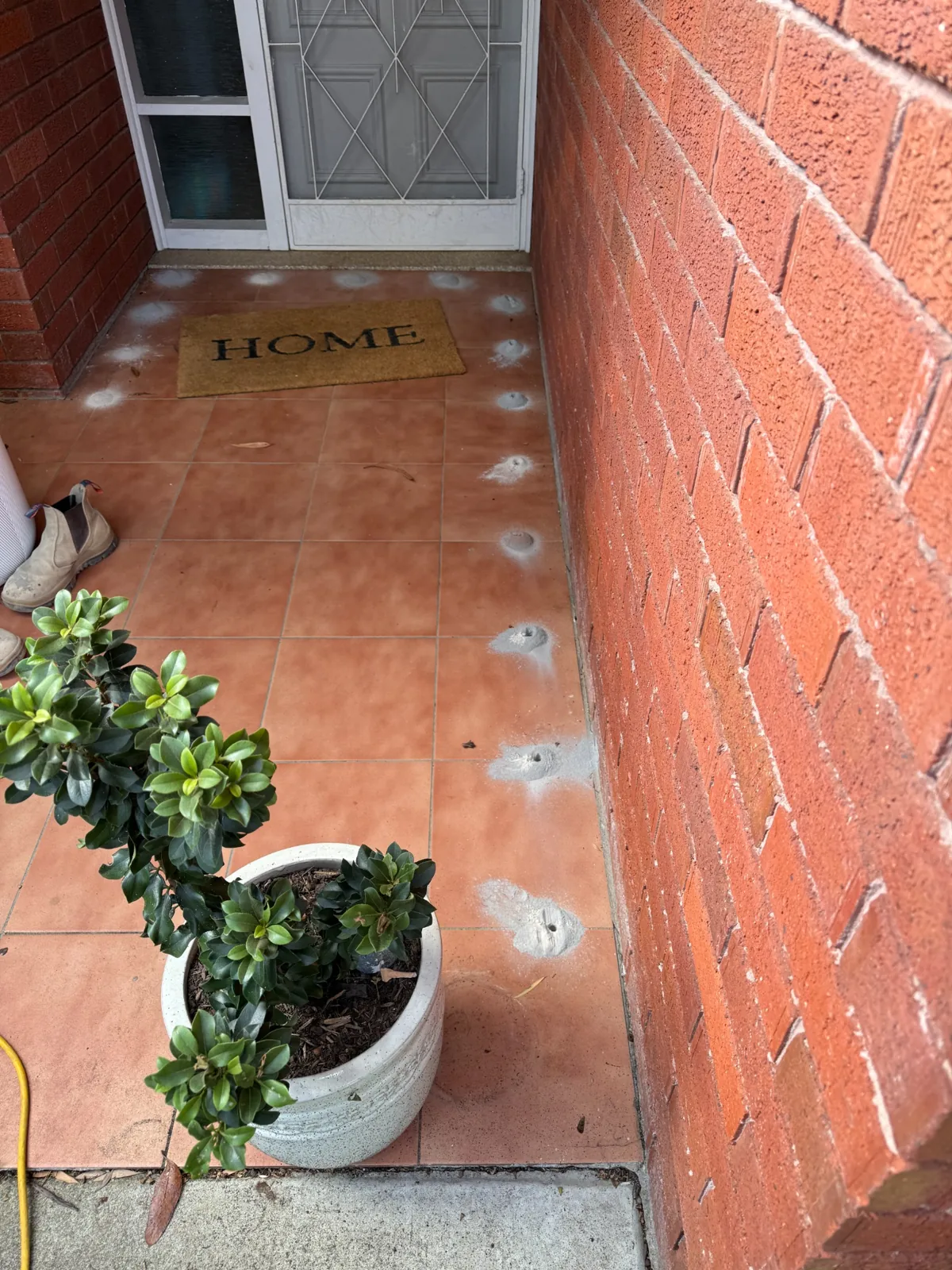 Drill holes along tiled porch for Termidor HE soil treatment in Killara