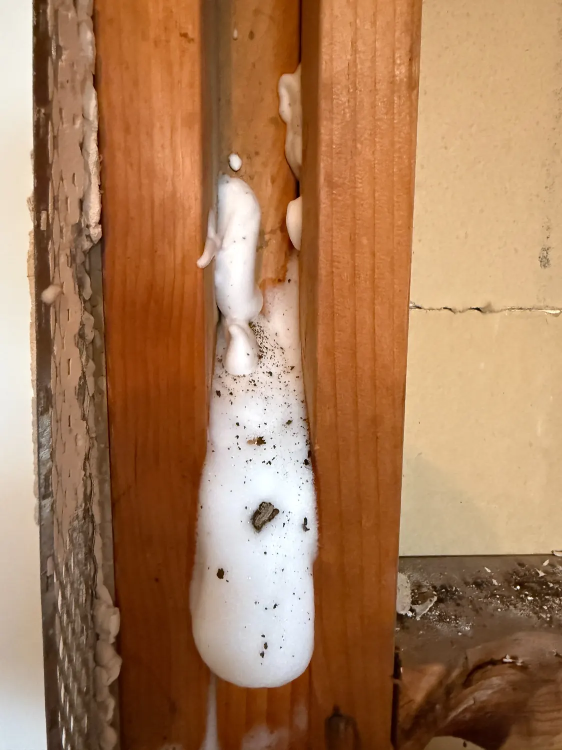 White treatment foam applied inside exposed wall framing at Westmead