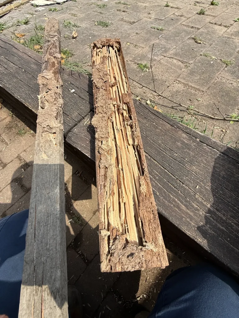 Termite management work at a residential property in Westmead